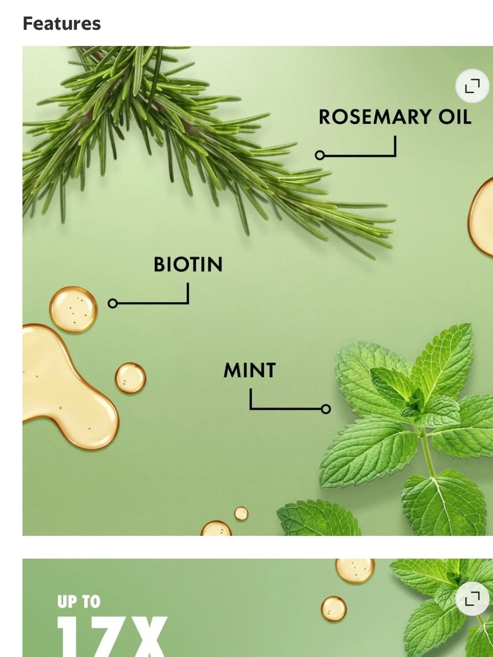 Mielle rosemary mint